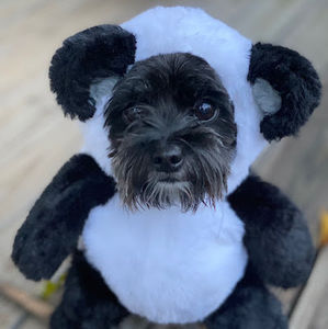 Meet your Posher, Kelly